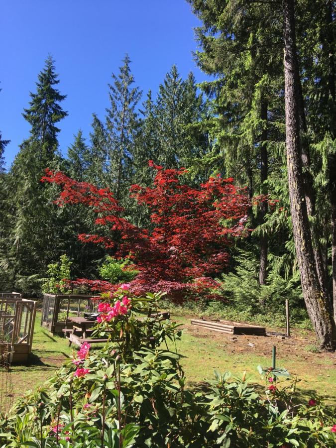 Cedar Song B&B Parksville Dış mekan fotoğraf