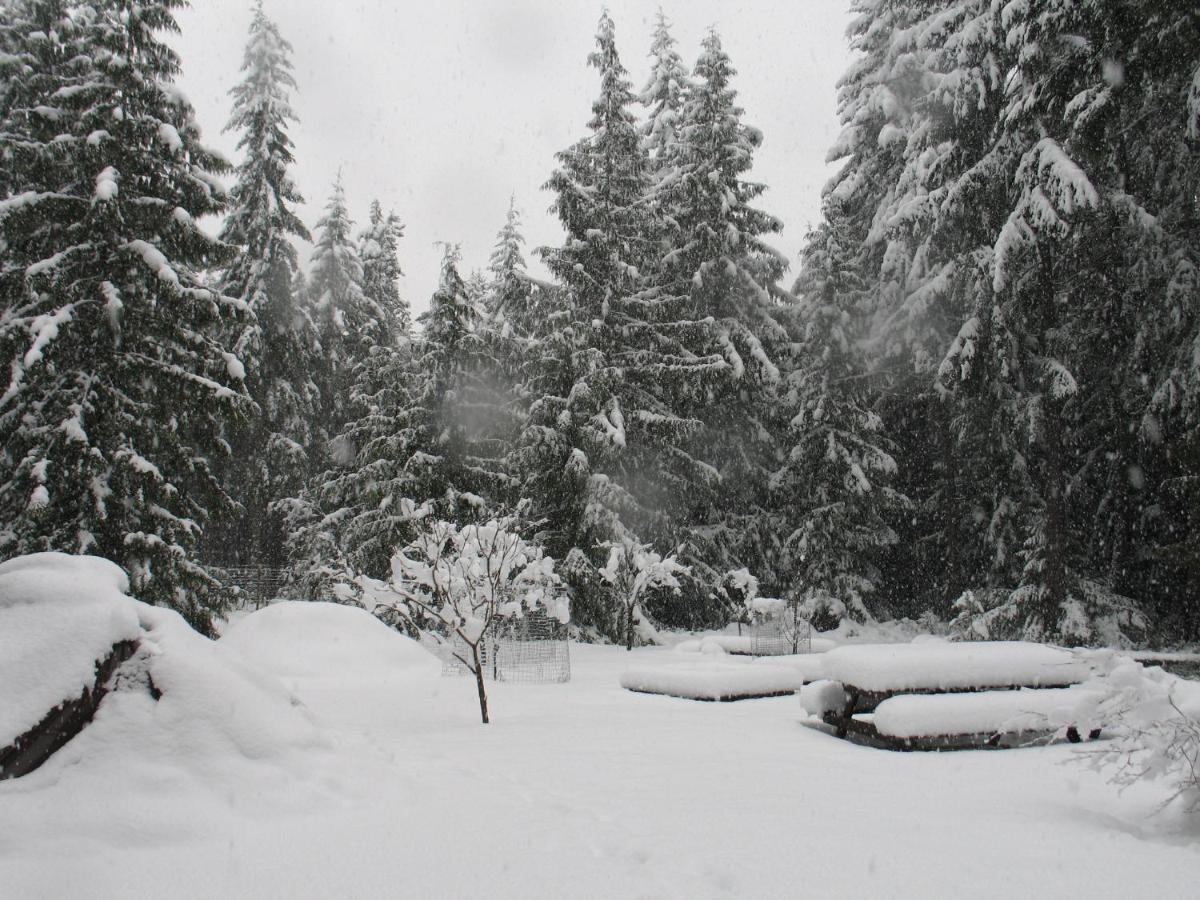 Cedar Song B&B Parksville Dış mekan fotoğraf