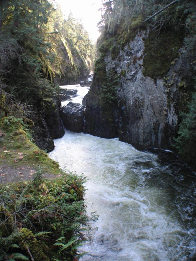 Cedar Song B&B Parksville Dış mekan fotoğraf