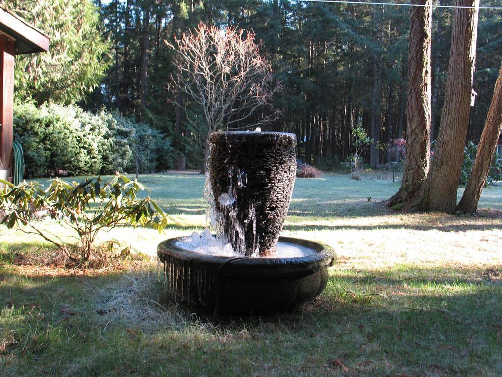Cedar Song B&B Parksville Oda fotoğraf