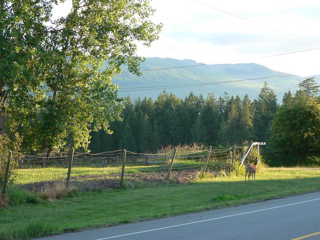 Cedar Song B&B Parksville Oda fotoğraf