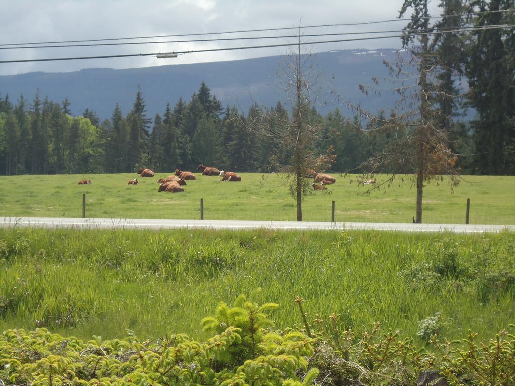 Cedar Song B&B Parksville Dış mekan fotoğraf