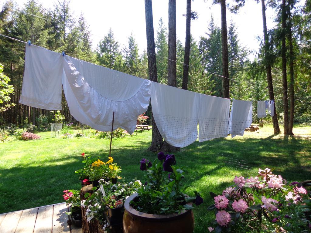 Cedar Song B&B Parksville Dış mekan fotoğraf