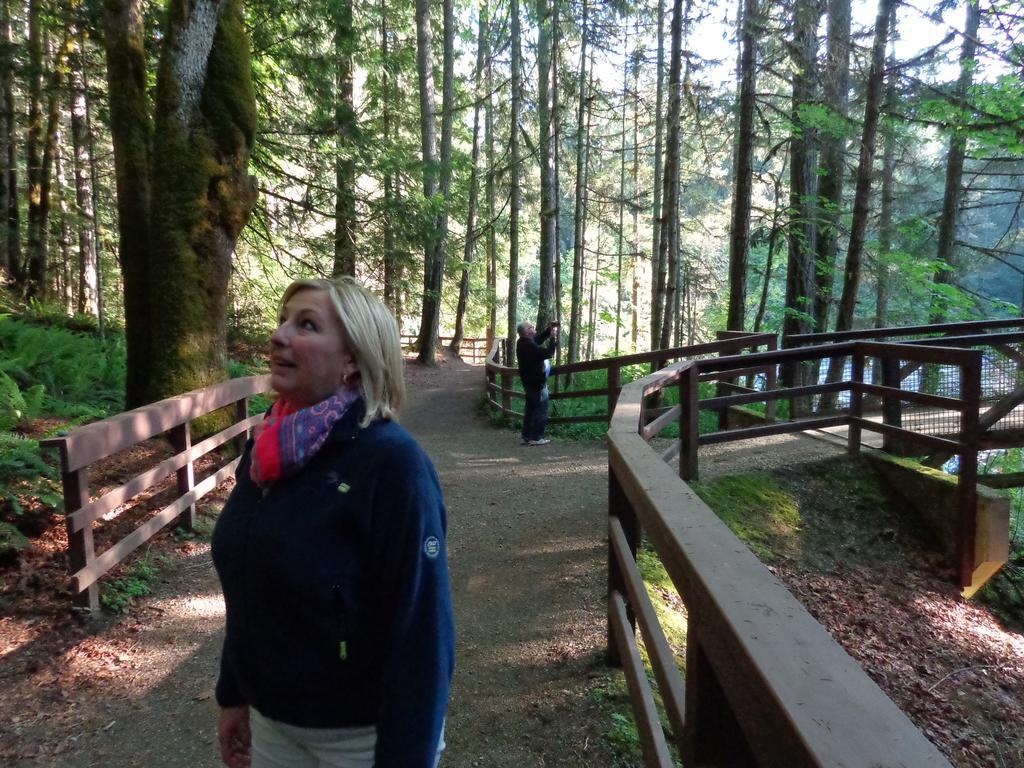 Cedar Song B&B Parksville Dış mekan fotoğraf