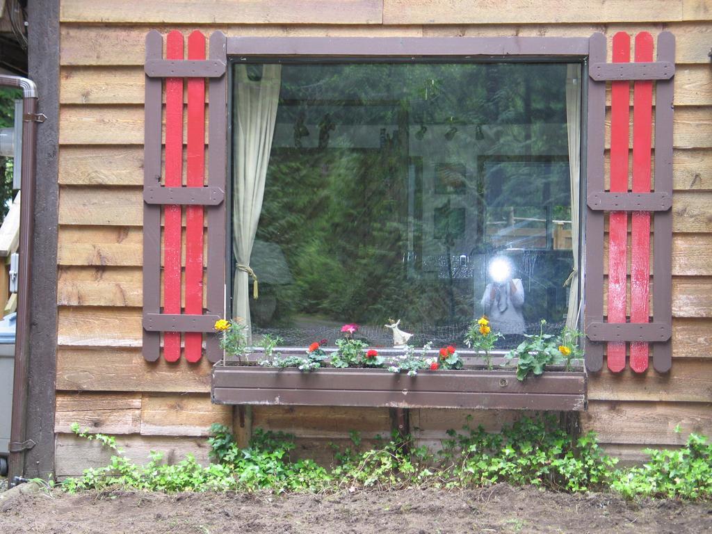 Cedar Song B&B Parksville Dış mekan fotoğraf