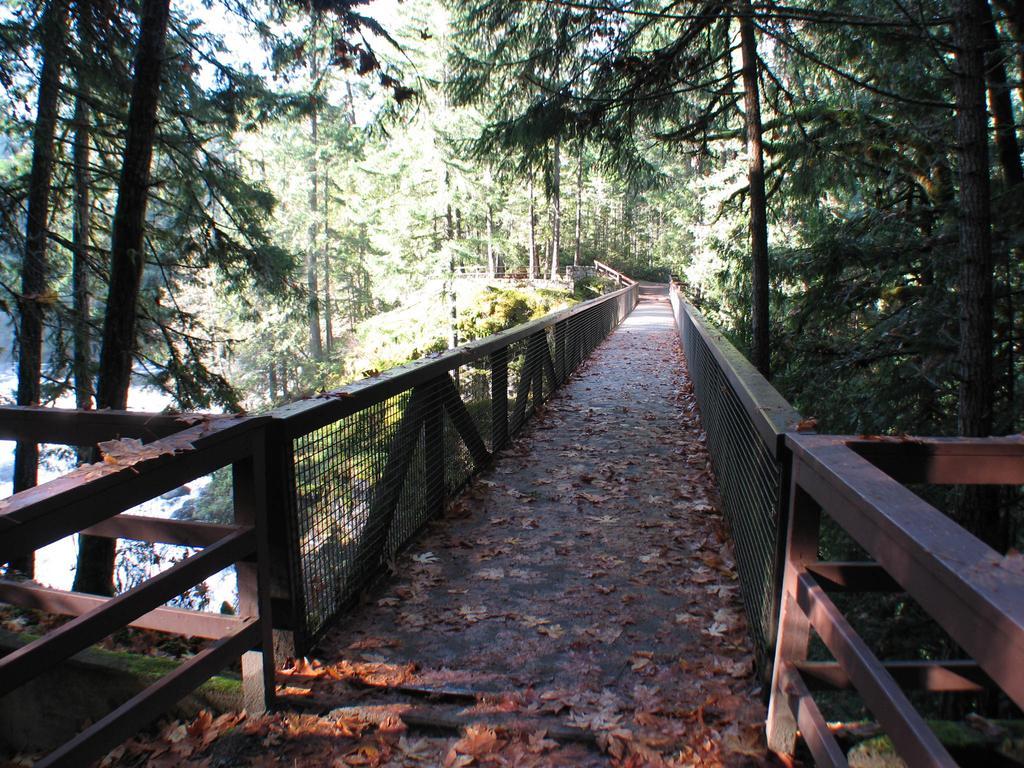 Cedar Song B&B Parksville Dış mekan fotoğraf